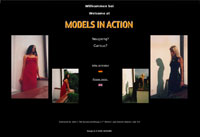 Models in Action - Buchbeschreibung